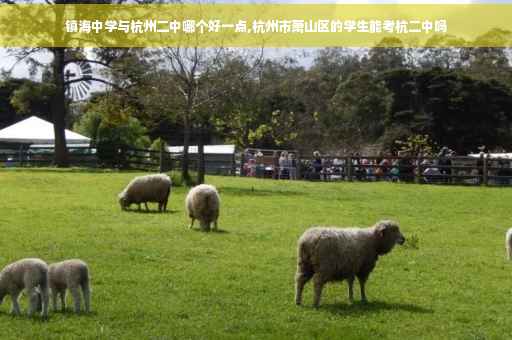 镇海中学与杭州二中哪个好一点,杭州市萧山区的学生能考杭二中吗