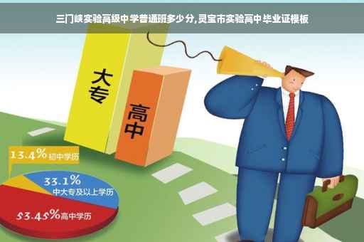 三门峡实验高级中学普通班多少分,灵宝市实验高中毕业证模板