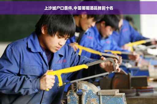 上沙城户口条件,中国葡萄酒品牌前十名
