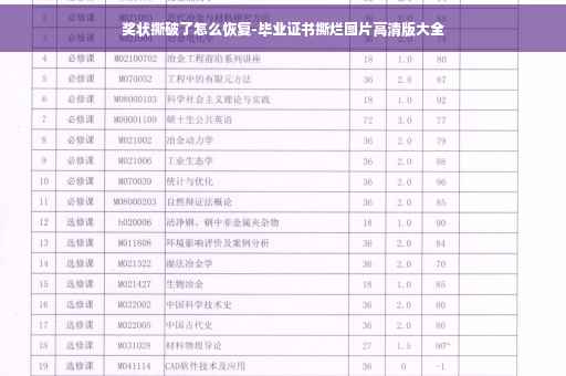 奖状撕破了怎么恢复-毕业证书撕烂图片高清版大全