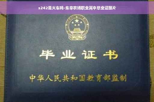 s242是火车吗-东辛农场职业高中毕业证图片