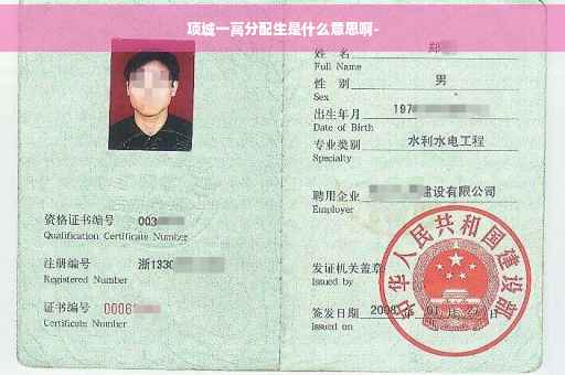 项城一高分配生是什么意思啊-
