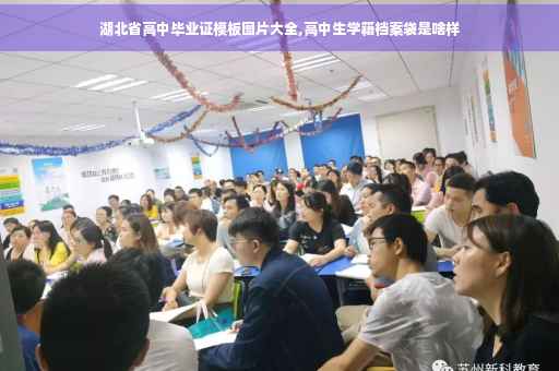 湖北省高中毕业证模板图片大全,高中生学籍档案袋是啥样