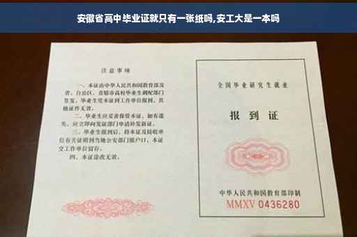 安徽省高中毕业证就只有一张纸吗,安工大是一本吗