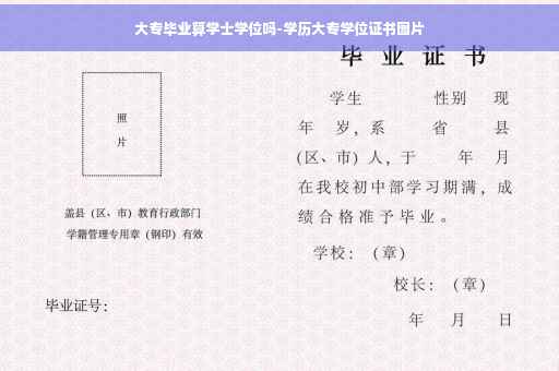 大专毕业算学士学位吗-学历大专学位证书图片