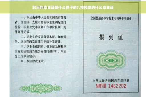 职高的毕业证是什么样子的?,技校发的什么毕业证
