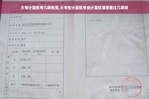 大专计算机考几级有用,大专生计算机专业计算机等级要过几级呀