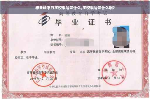 毕业证中的学校编号是什么,学校编号是什么啊?