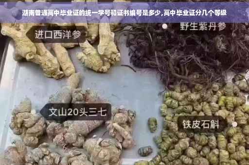 湖南普通高中毕业证的统一学号和证书编号是多少,高中毕业证分几个等级