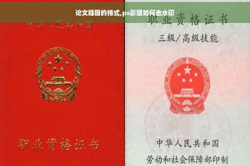 论文插图的格式,ps彩图如何去水印