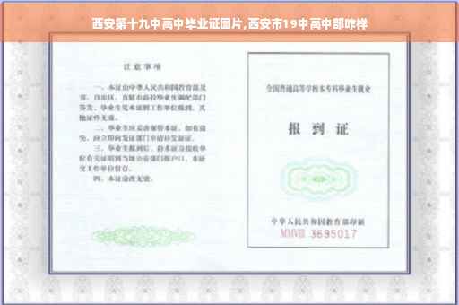 西安第十九中高中毕业证图片,西安市19中高中部咋样