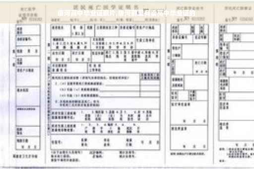 唐河高中毕业证照片,唐河那里有卖高中毕业证的