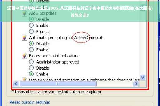 辽阳中医药学校毕业证2005,从辽阳开车到辽宁省中医药大学附属医院(在沈阳市)该怎么走?