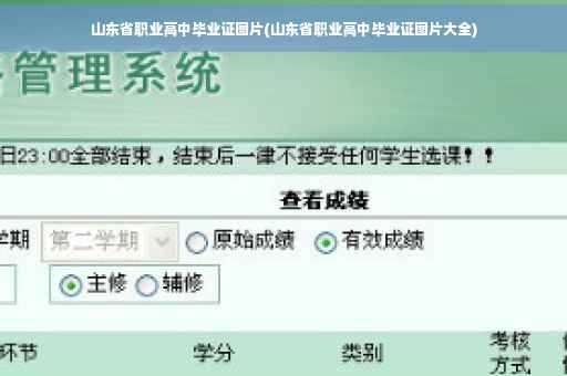 山东省职业高中毕业证图片(山东省职业高中毕业证图片大全)