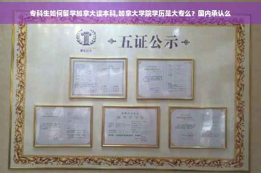 专科生如何留学加拿大读本科,加拿大学院学历是大专么？国内承认么