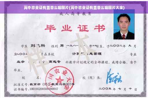 高中毕业证有盖章么嘛图片(高中毕业证有盖章么嘛图片大全)
