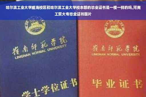 哈尔滨工业大学威海校区和哈尔滨工业大学校本部的毕业证书是一模一样的吗,河南工贸大专毕业证书图片