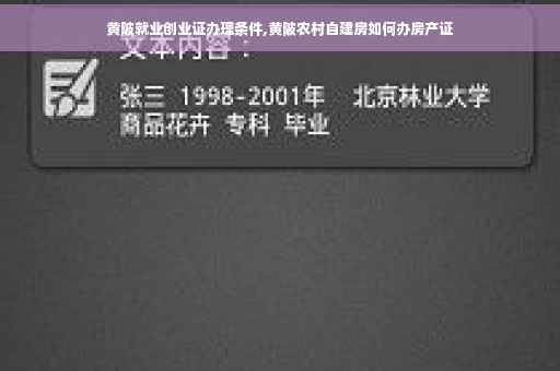 黄陂就业创业证办理条件,黄陂农村自建房如何办房产证