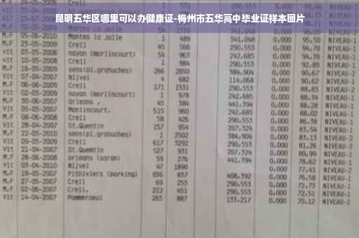 昆明五华区哪里可以办健康证-梅州市五华高中毕业证样本图片