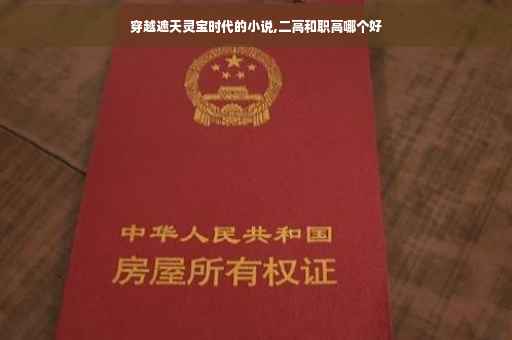 穿越遮天灵宝时代的小说,二高和职高哪个好