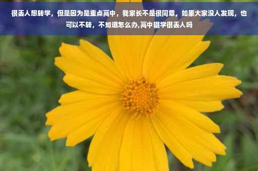 很丢人想转学，但是因为是重点高中，我家长不是很同意，如果大家没人发现，也可以不转，不知道怎么办,高中辍学很丢人吗