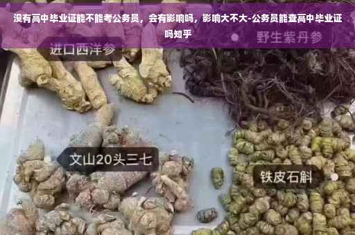 没有高中毕业证能不能考公务员，会有影响吗，影响大不大-公务员能查高中毕业证吗知乎