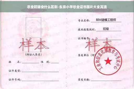卒业和肄业什么区别-东京小学毕业证书图片大全高清