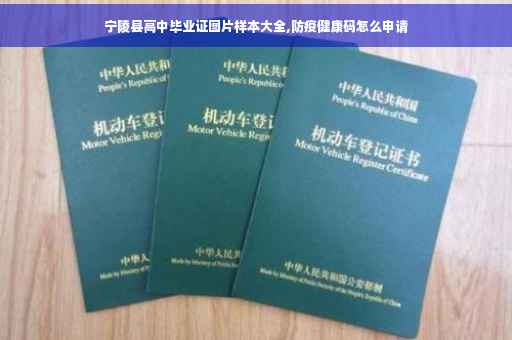 宁陵县高中毕业证图片样本大全,防疫健康码怎么申请
