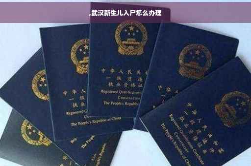 ,武汉新生儿入户怎么办理