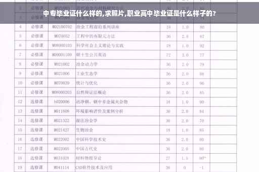 中专毕业证什么样的,求照片,职业高中毕业证是什么样子的?