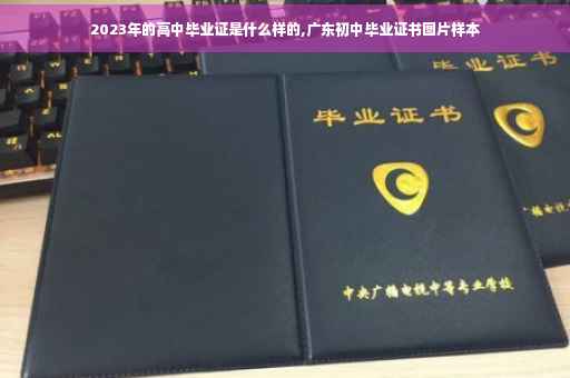 2023年的高中毕业证是什么样的,广东初中毕业证书图片样本