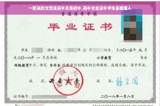 一职高的文凭是高中还是初中,高中毕业证中学生系哪里人