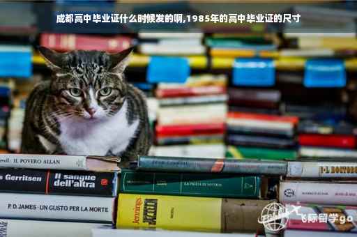 成都高中毕业证什么时候发的啊,1985年的高中毕业证的尺寸