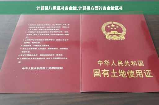 计算机八级证书含金量,计算机方面的含金量证书