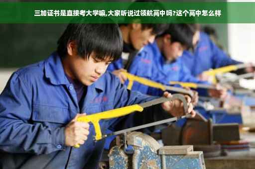三加证书是直接考大学嘛,大家听说过领航高中吗?这个高中怎么样