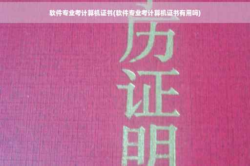 软件专业考计算机证书(软件专业考计算机证书有用吗)