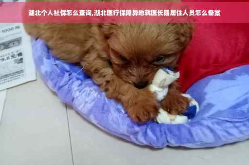 湖北个人社保怎么查询,湖北医疗保障异地就医长期居住人员怎么备案