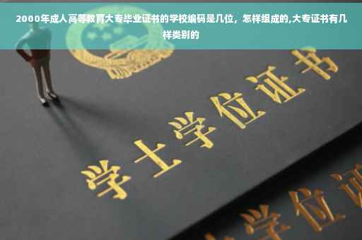 2000年成人高等教育大专毕业证书的学校编码是几位，怎样组成的,大专证书有几样类别的