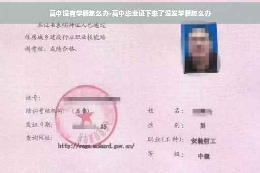 高中没有学籍怎么办-高中毕业证下来了没发学籍怎么办