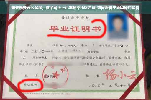 想去泰安西区买房，孩子马上上小学哪个小区合适,如何看待宁夏固原的房价
