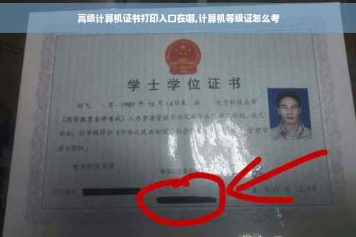 高级计算机证书打印入口在哪,计算机等级证怎么考