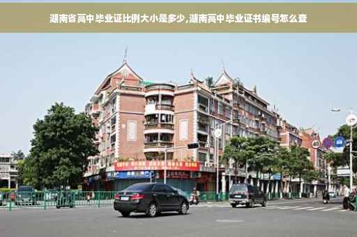 湖南省高中毕业证比例大小是多少,湖南高中毕业证书编号怎么查