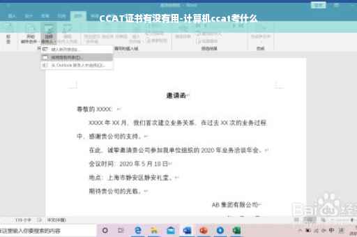 CCAT证书有没有用-计算机ccat考什么