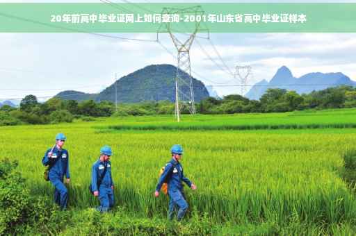20年前高中毕业证网上如何查询-2001年山东省高中毕业证样本