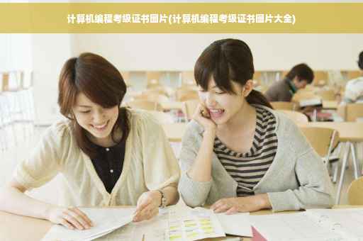 计算机编程考级证书图片(计算机编程考级证书图片大全)