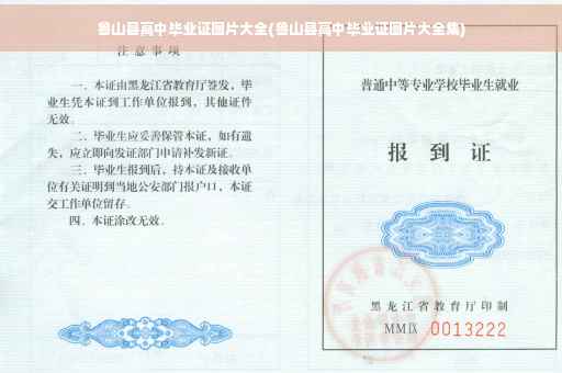 鲁山县高中毕业证图片大全(鲁山县高中毕业证图片大全集)