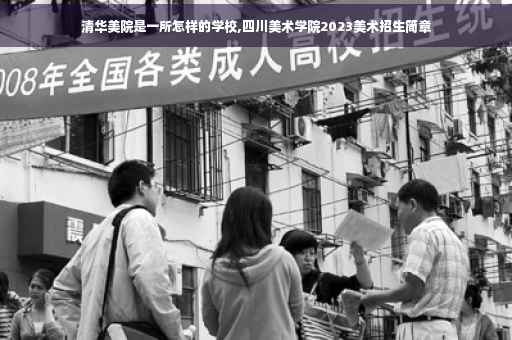 清华美院是一所怎样的学校,四川美术学院2023美术招生简章