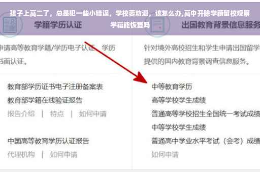 孩子上高二了，总是犯一些小错误，学校要劝退，该怎么办,高中开除学籍留校观察学籍能恢复吗