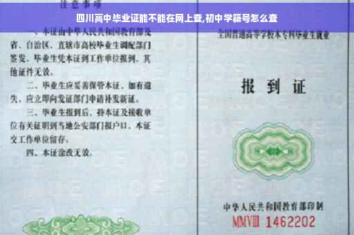 四川高中毕业证能不能在网上查,初中学籍号怎么查