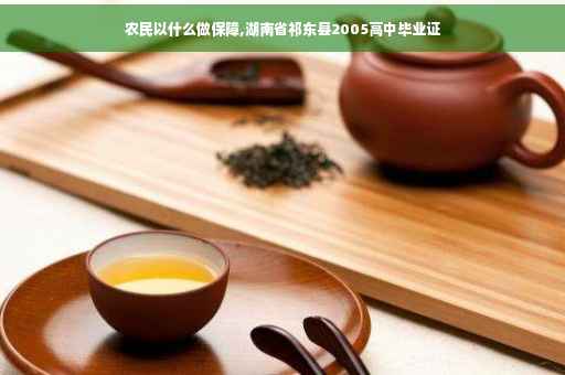 农民以什么做保障,湖南省祁东县2005高中毕业证
